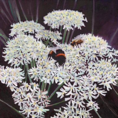 Inflorescence by Helen White